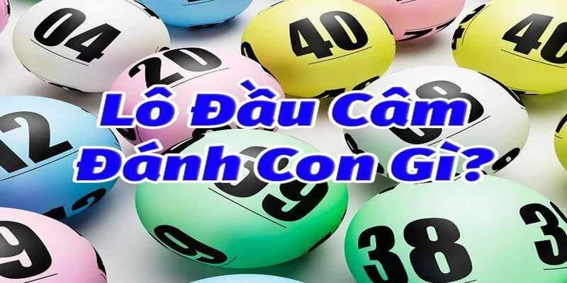 Dựa vào đít câm để tìm ra các con lô may mắn cho chính mình