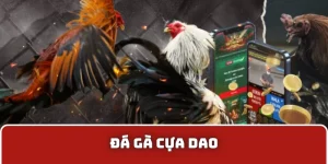 Đá Gà Cựa Dao Livestream - Giải Trí Đối Kháng Thế Hệ Mới